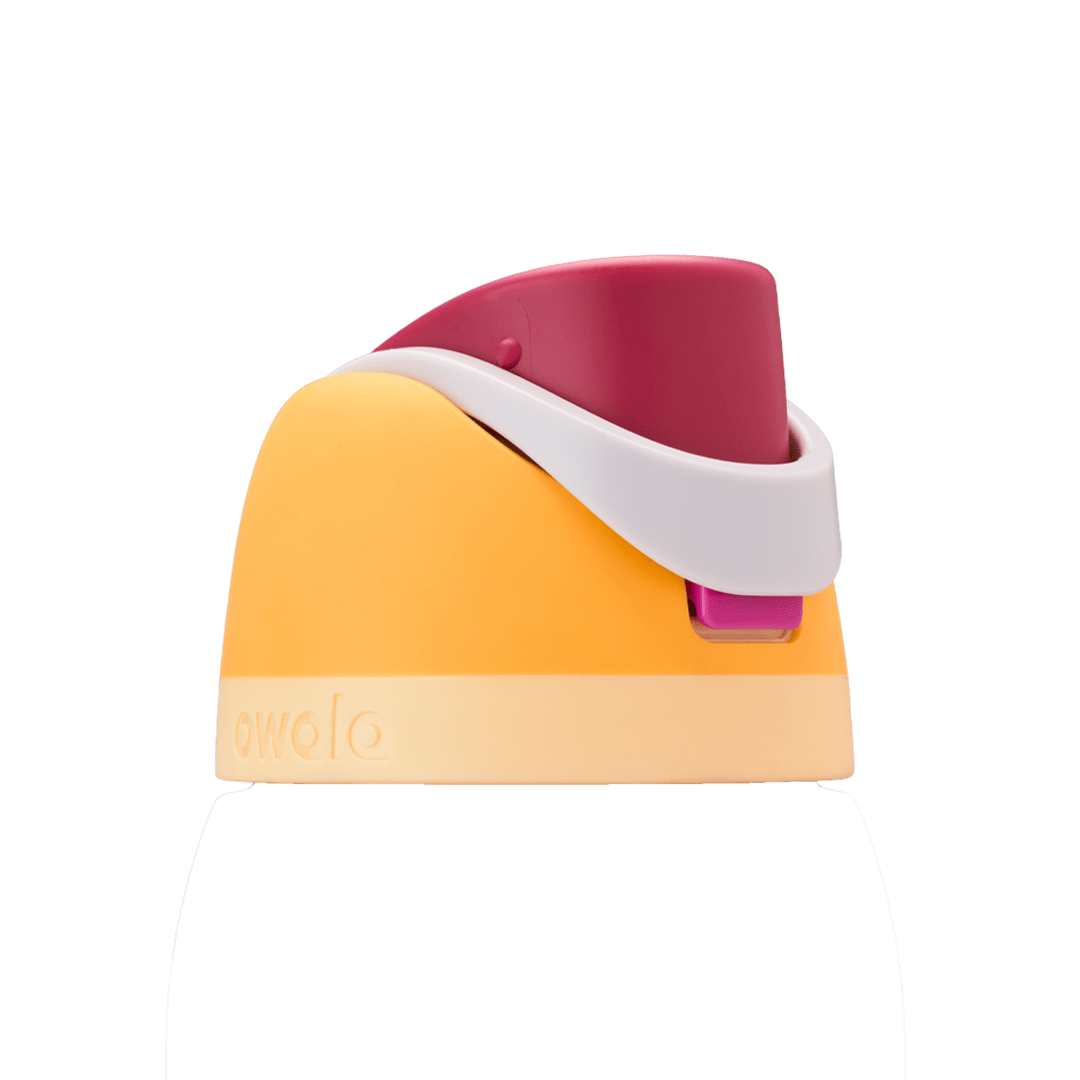 Replacement Lids [2P6R]