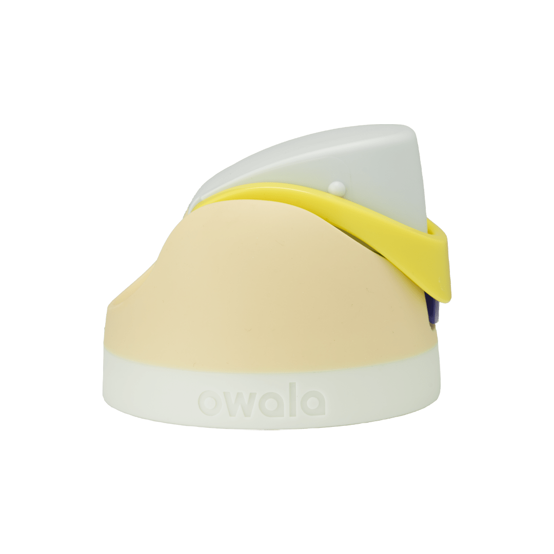 Replacement Lids [2P6R]