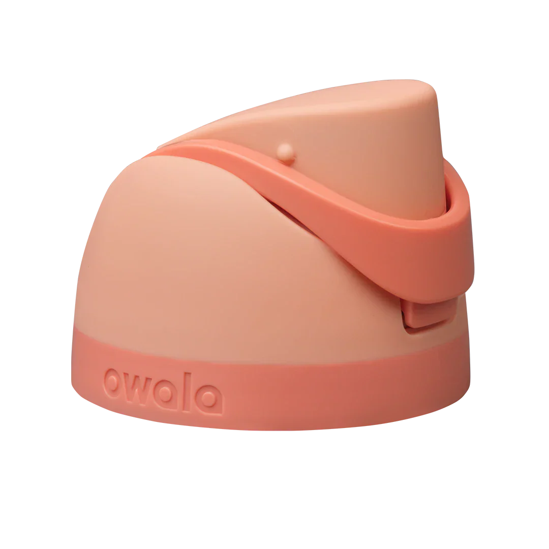 Replacement Lids [2P6R]