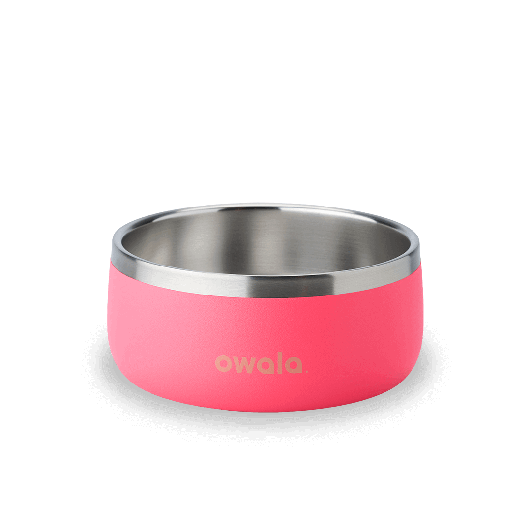 Pet Bowl [80JO]